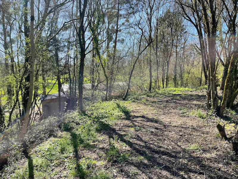 WhatsApp Image 2026-03-22 at 20.56.53