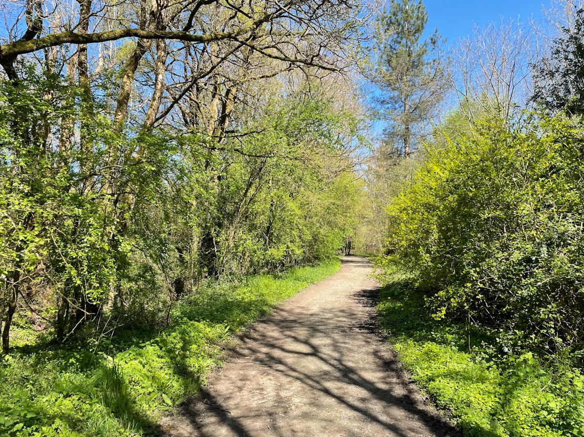 Chemin qui mène au étang